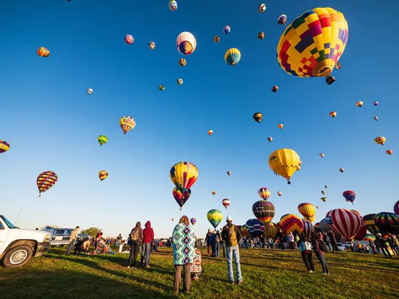 Hot air balloons rising over a grassy field