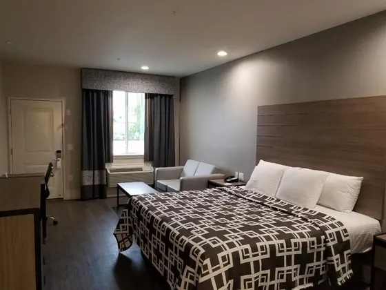 Room with a geometric bedspread, gray sofa, and desk