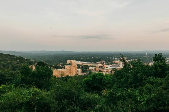 Town in a green valley seen from a forested hillside