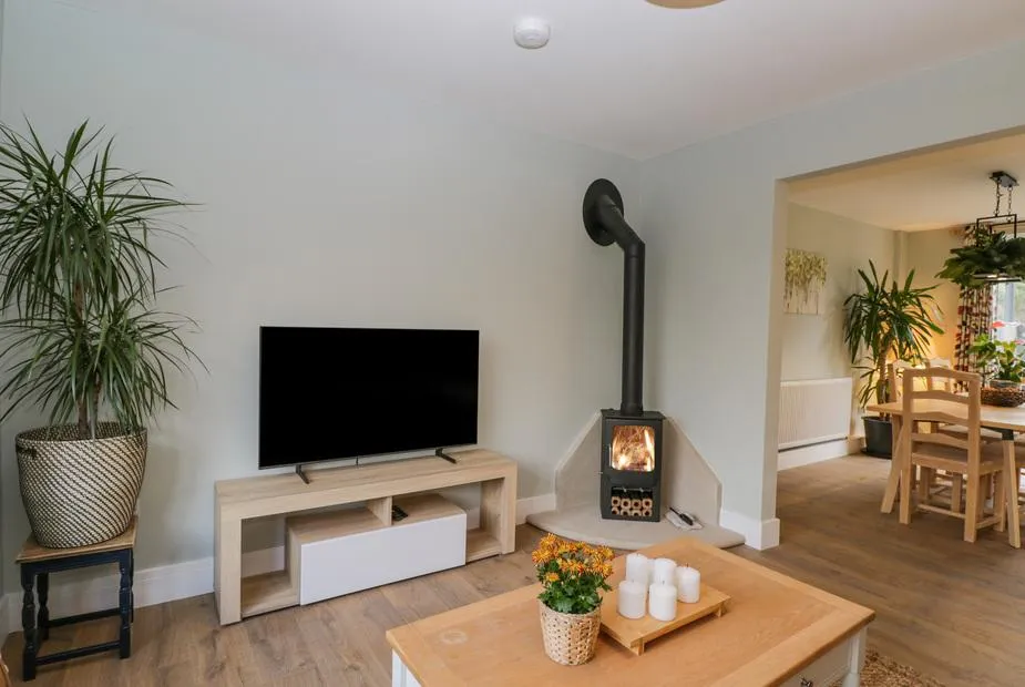 Birch House living room with lit wood burner and plants on coffee table