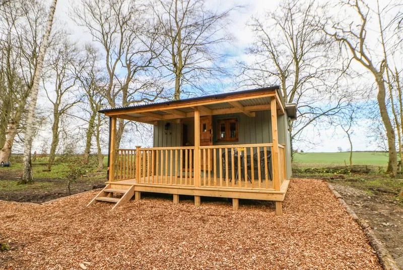 Bracken Fern cabin exterior with covered veranda in woodland