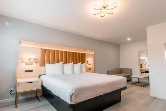 Bedroom with a large bed and a chair