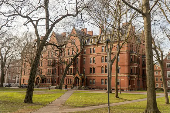 Red-brick Harvard building framed by leafless trees