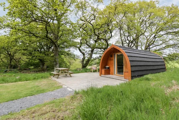 Conwy Pod curved timber pod in a meadow clearing