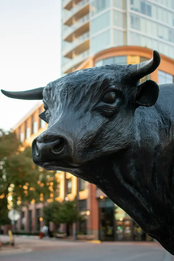 Close view of the bronze Major the Bull statue in downtown Durham