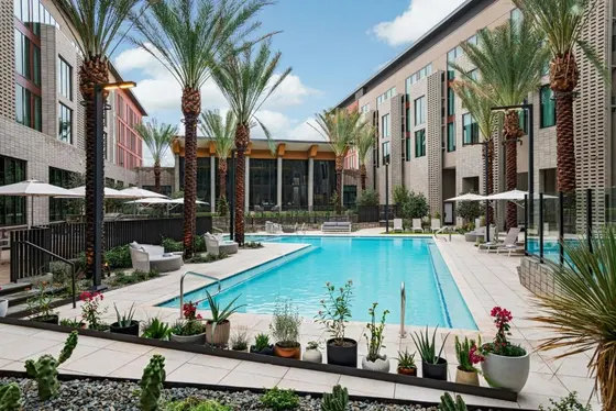 Swimming pool at a hotel with palm trees