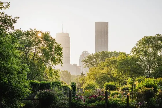 View of a park with trees and buildings