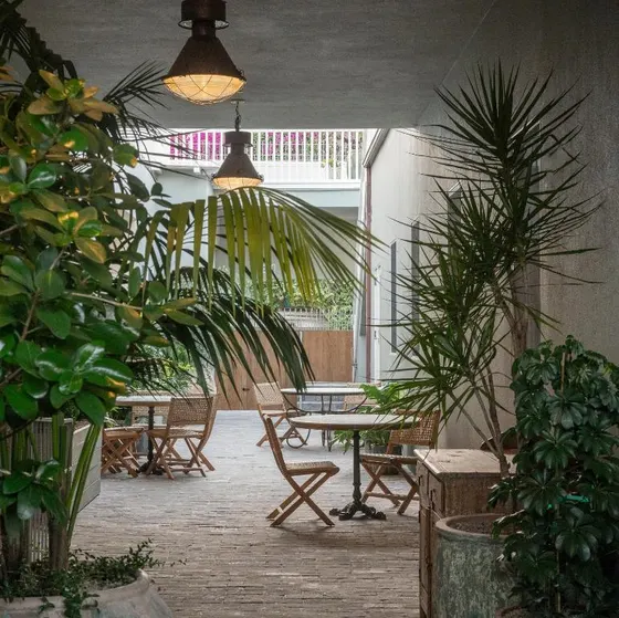 Patio with a table and chairs and plants