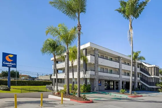 Building with palm trees in front of it