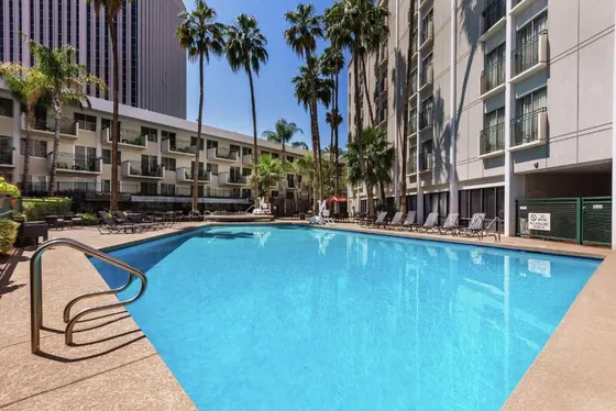 Large blue swimming pool in a building with palm trees