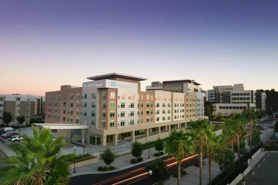 Large building in a city with palm trees