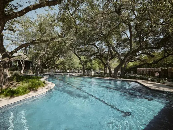 Tree-shaded lap pool with lounge chairs and a stone deck