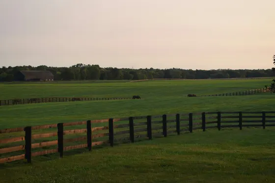 Rolling horse pastures with wooden fences and a barn