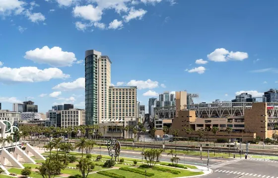 City skyline with tall buildings and palm trees