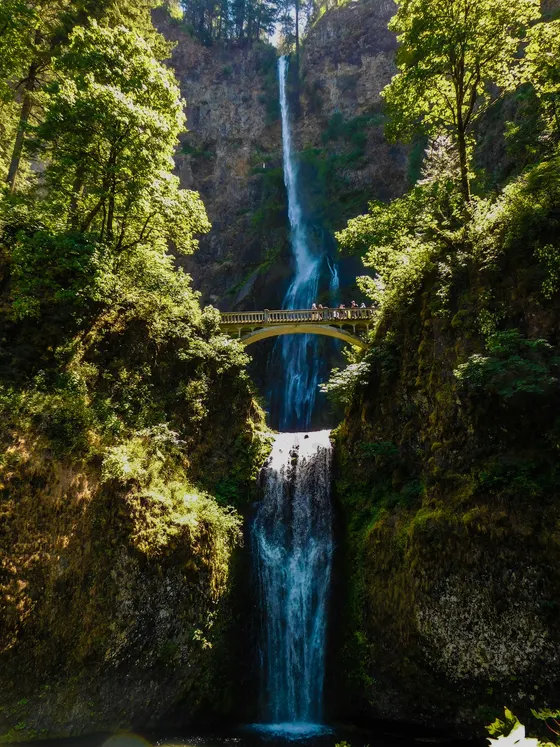 Multnomah Falls cascading behind Benson Bridge in a leafy gorge