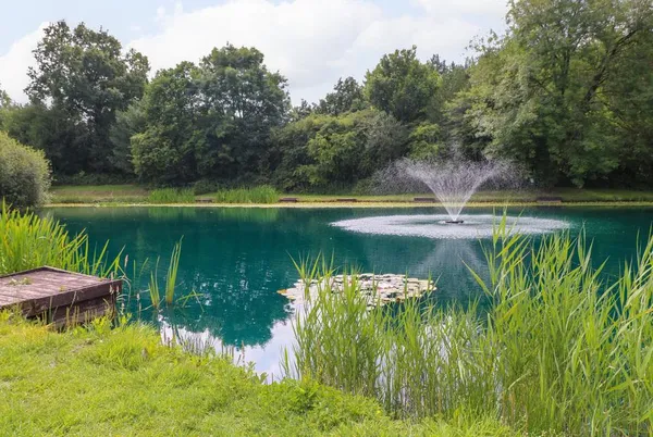 Pheasant Lodge lakeside setting with fountain and trees