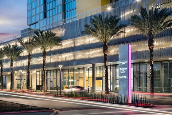 Group of palm trees in front of a building