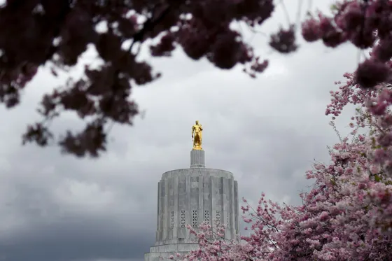 Oregon State Capitol dome framed by pink blossoms