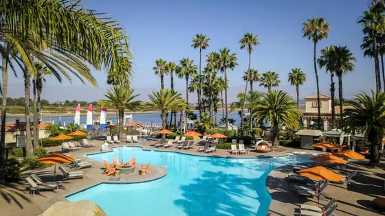 Large pool with chairs and umbrellas and palm trees