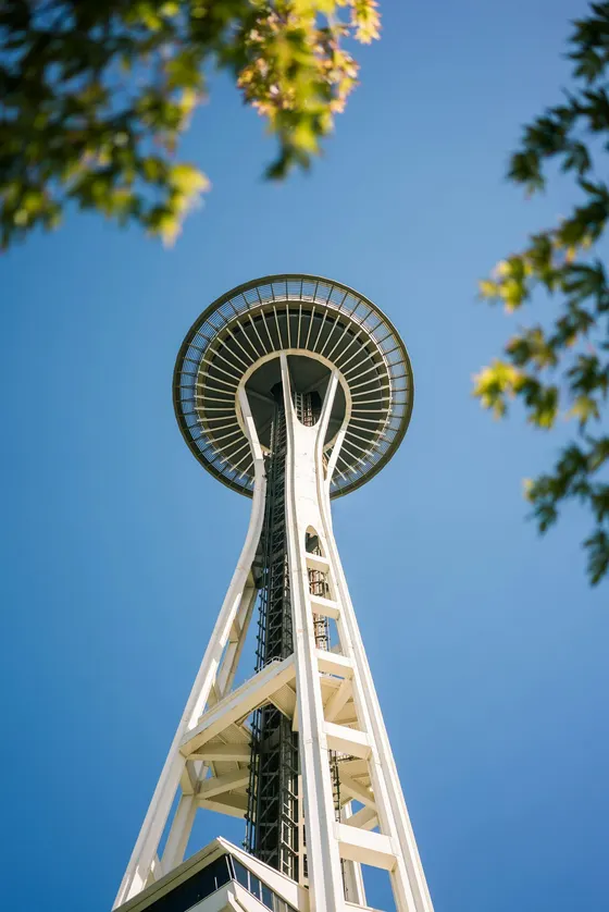 Space Needle framed by leafy branches under a blue sky