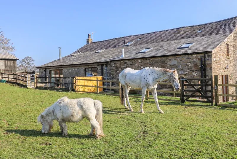 Stable View Cottage ponies in front of a stone barn and lawn
