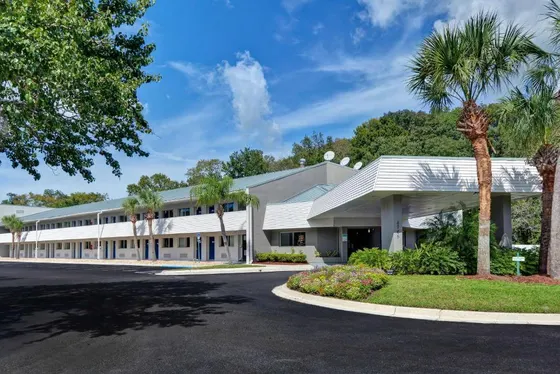 Large white building with palm trees in front of it