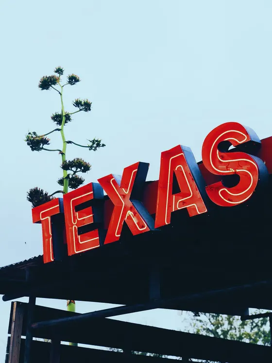 Red neon TEXAS sign against a pale sky