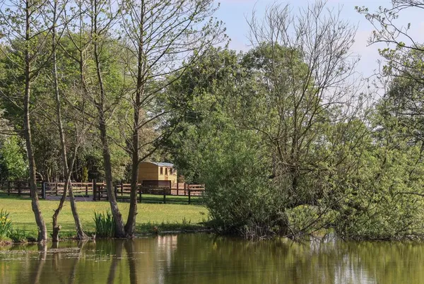 The Oak Hut lake and trees on the site