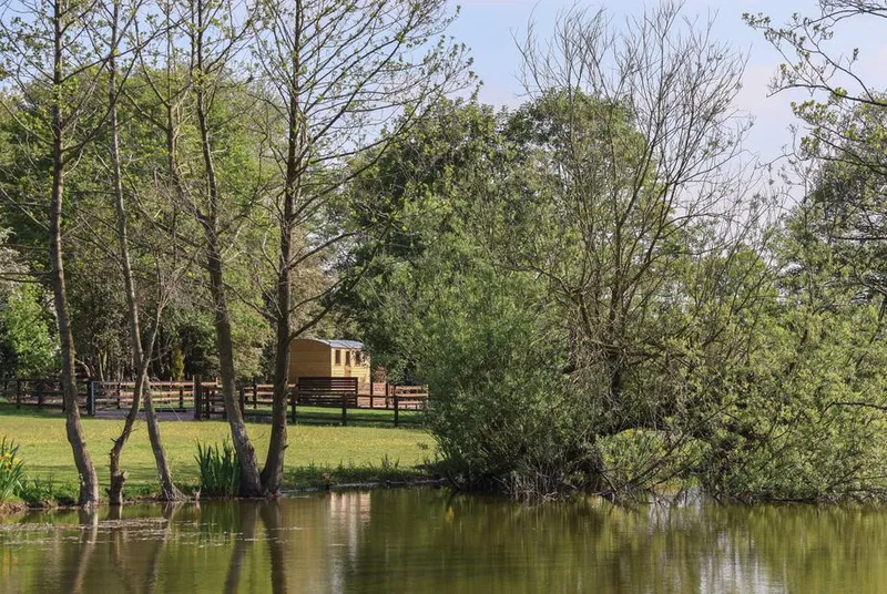 The Oak Hut lake and trees on the site