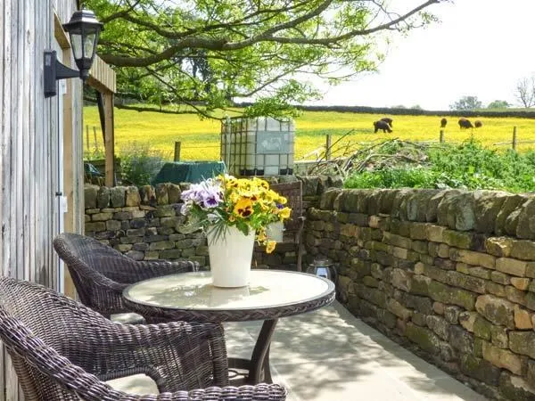 The Old Corn Store wicker seating overlooking buttercup meadow