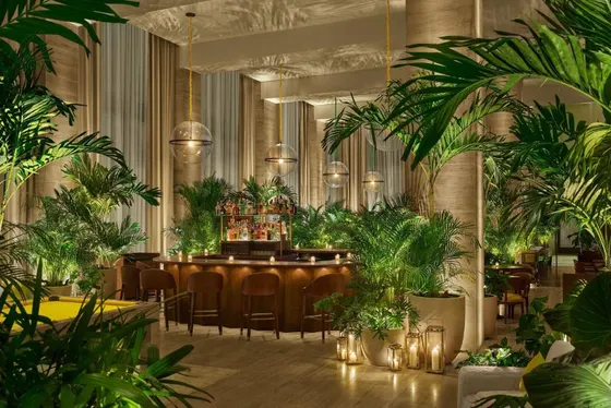 Restaurant with potted plants and a bar