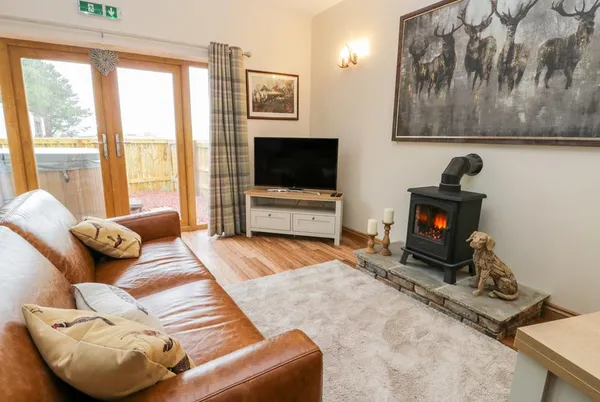 Wagtail Nest living room with lit wood burner and leather sofa