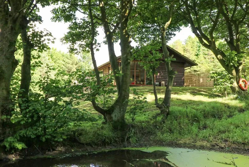 Pond Farm Woodlands lodge through woodland trees with pond